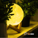 Full Moon, 3D lampshade; This one is lit, on top of a shelf next to plants; vibe houses