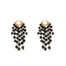 Earrings with black crystal pendant ✨ order now, free shipping